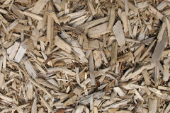 biomass boilers Aubourn